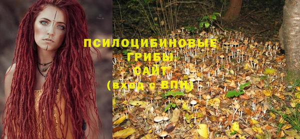 молекула духа Валдай