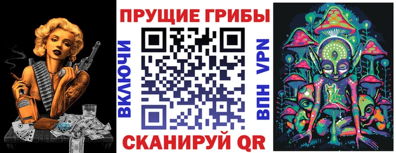 Галлюциногенные грибы Psilocybine cubensis даркнет сайт Урюпинск