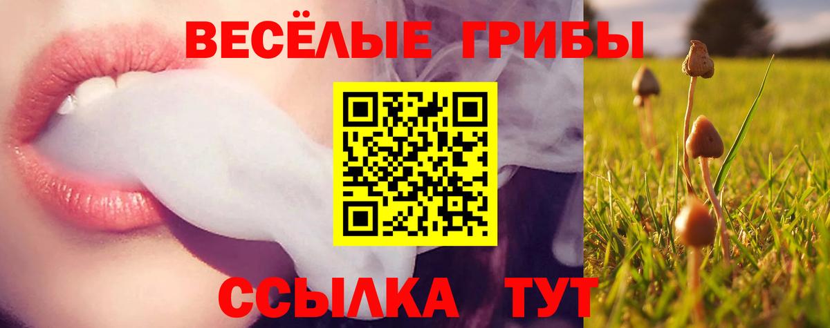 Псилоцибиновые грибы Psilocybine cubensis Урюпинск