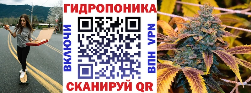 Каннабис OG Kush  Урюпинск 