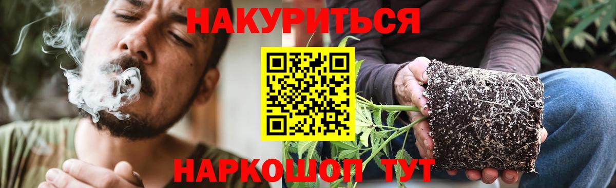 Бошки Шишки план Урюпинск